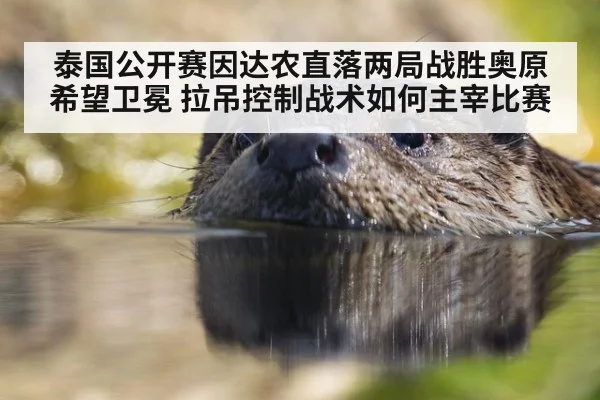 泰国公开赛因达农直落两局战胜奥原希望卫冕 拉吊控制战术如何主宰比赛